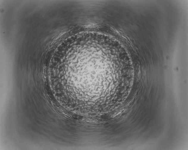 X0000067871301200604171214