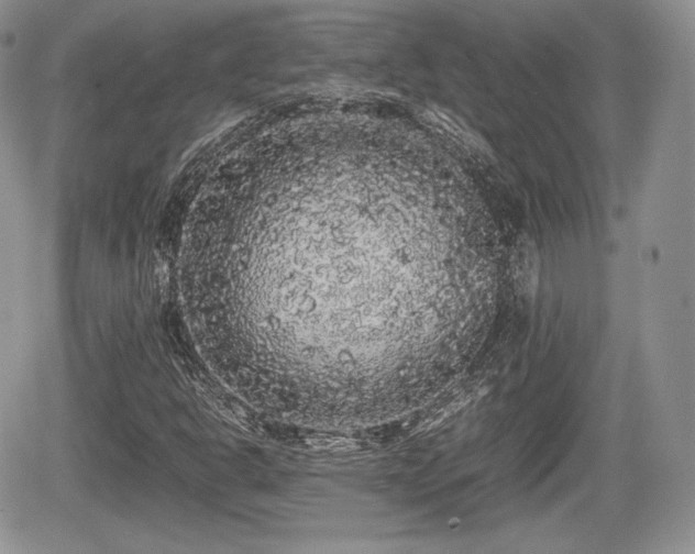 X0000067871302200604171214