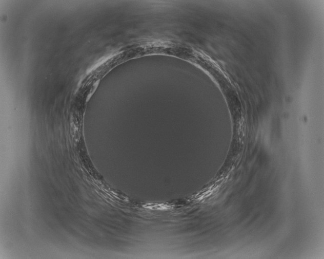 X0000067871303200604171214