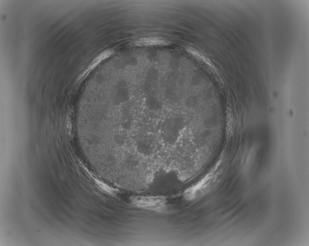 X0000067871305200604171214