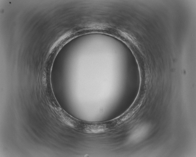 X0000067871307200604171214