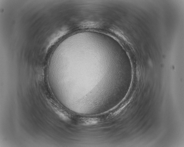 X0000067871309200604171214