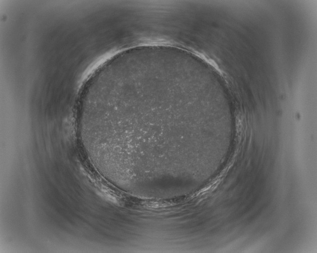 X0000067871311200604171214