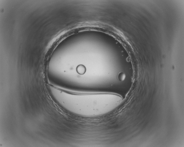 X0000067871312200604171214