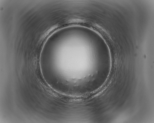 X0000067871313200604171214