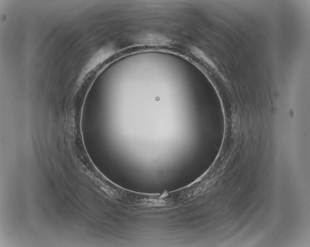 X0000067871315200604171214