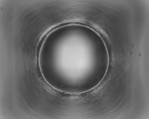 X0000067871316200604171214