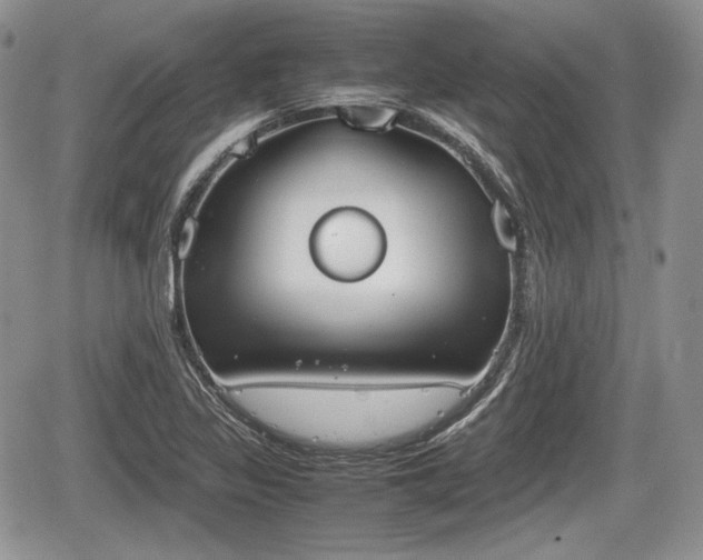 X0000067871317200604171214