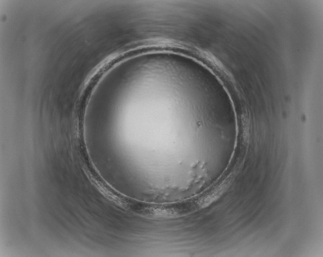 X0000067871318200604171214