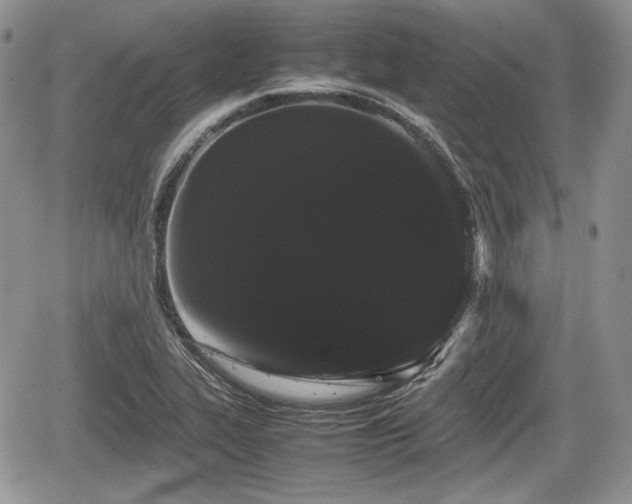 X0000067871319200604171214