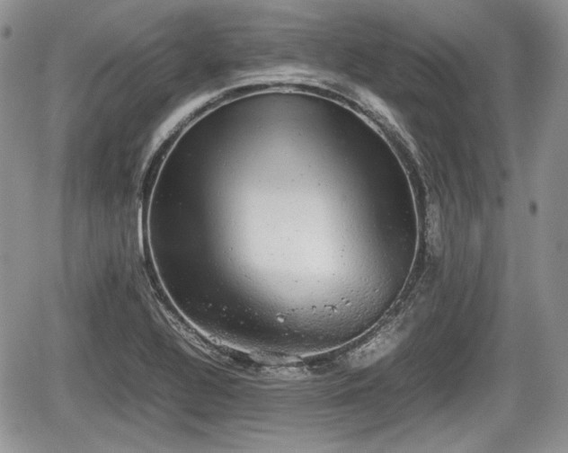 X0000067871320200604171214