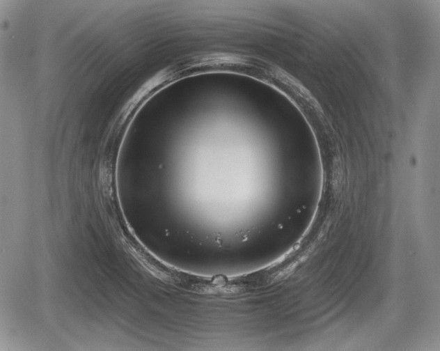 X0000067871321200604171214