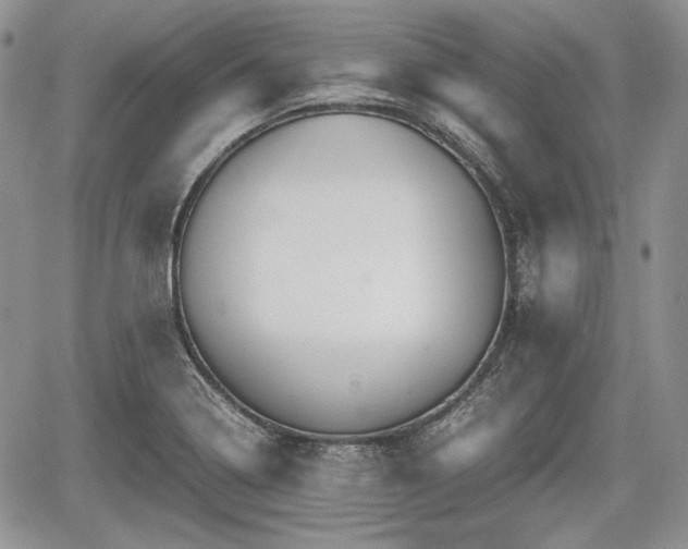 X0000067871322200604171214