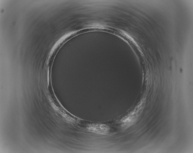 X0000067871323200604171214