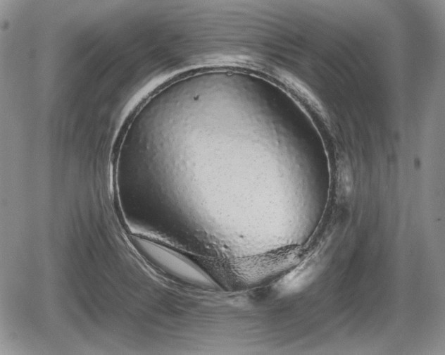 X0000067871324200604171214