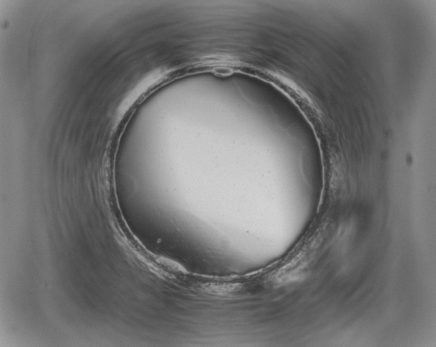 X0000067871325200604171214