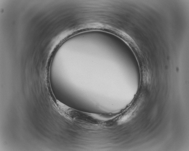 X0000067871326200604171214