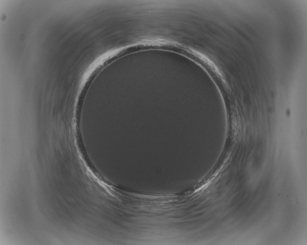 X0000067871327200604171214