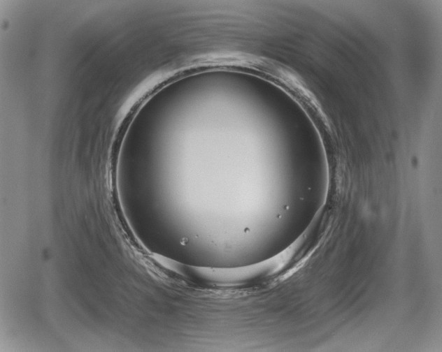 X0000067871328200604171214