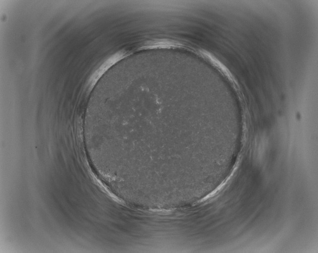 X0000067871329200604171214