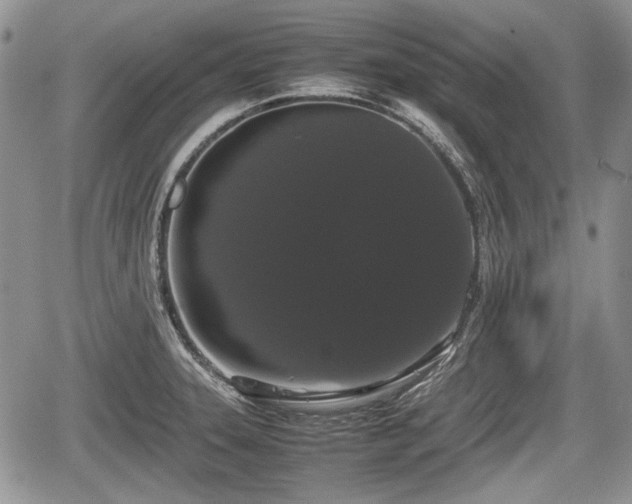 X0000067871331200604171214