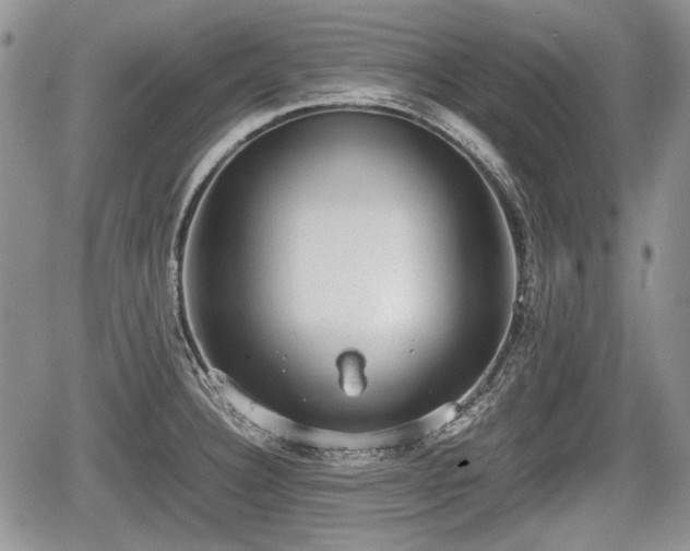 X0000067871332200604171214