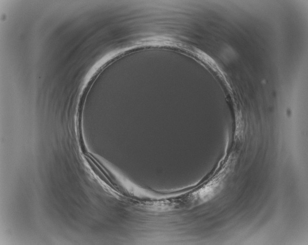 X0000067871334200604171214