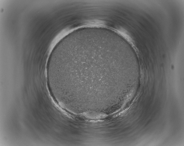 X0000067871335200604171214