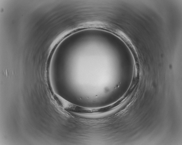 X0000067871336200604171214