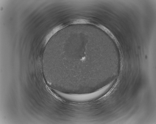 X0000067871337200604171214