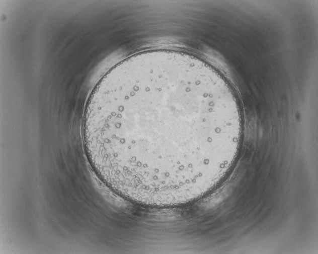 X0000067871338200604171214