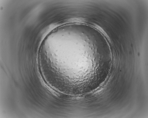 X0000067871339200604171214