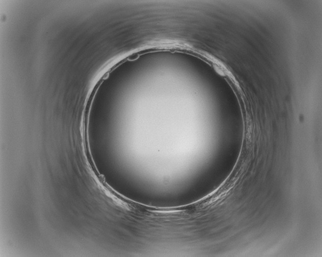 X0000067871343200604171214