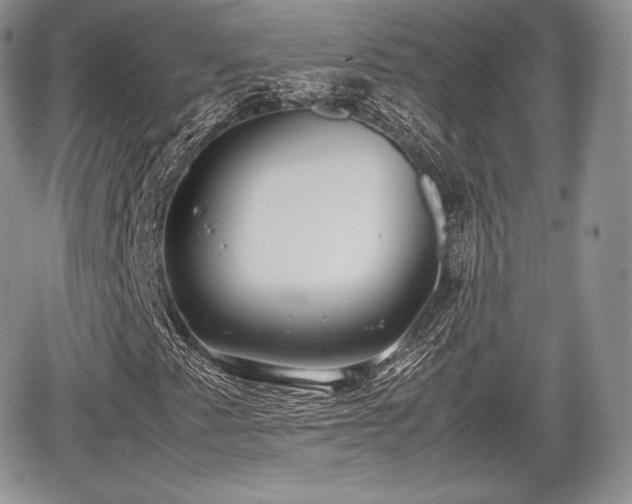 X0000067871345200604171214