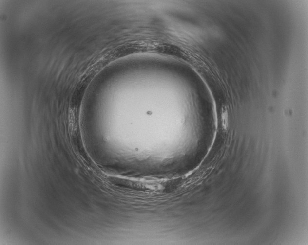 X0000067871347200604171214