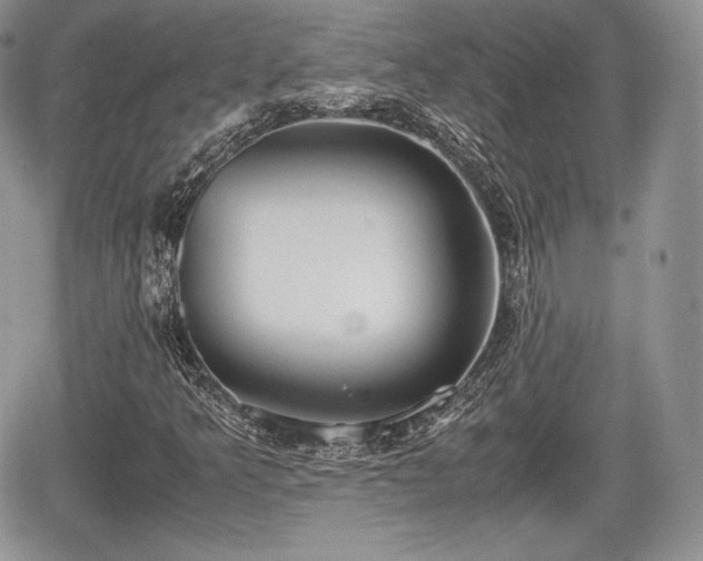 X0000067871349200604171214