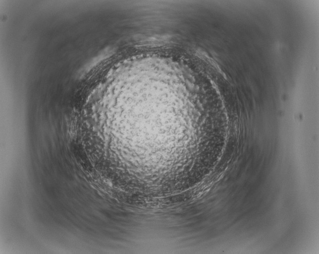 X0000067871350200604171214