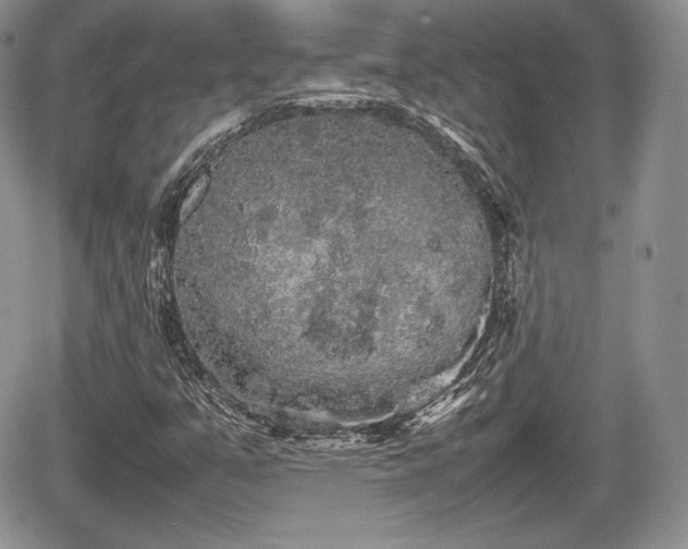 X0000067871351200604171214