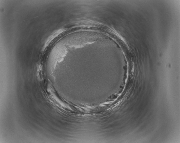 X0000067871352200604171214