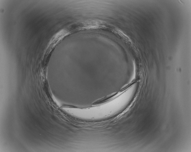 X0000067871353200604171214