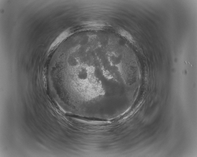 X0000067871354200604171214