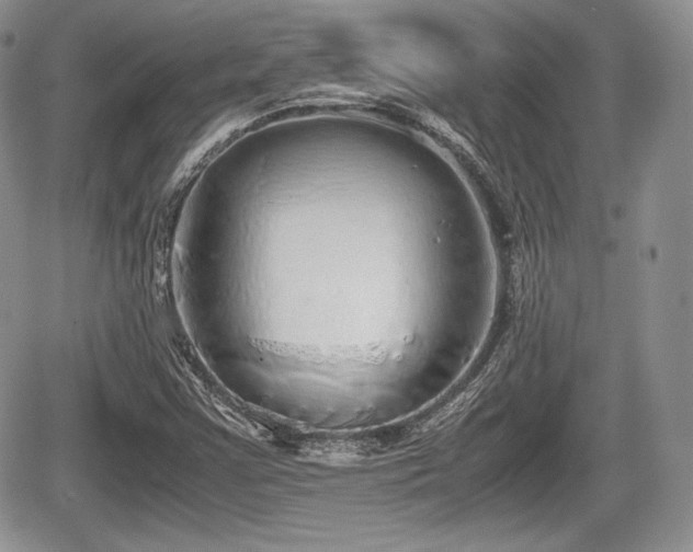 X0000067871355200604171214