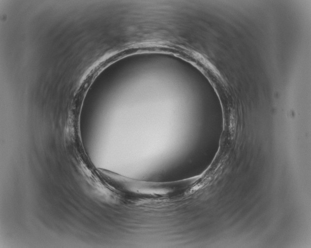 X0000067871356200604171214