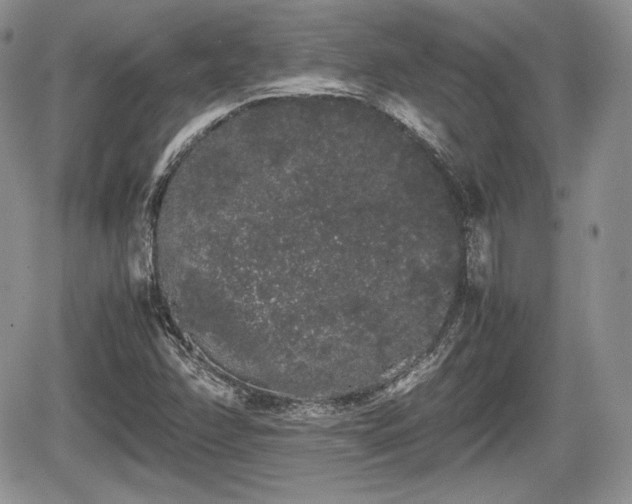 X0000067871358200604171213