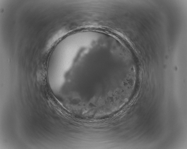 X0000067871359200604171213