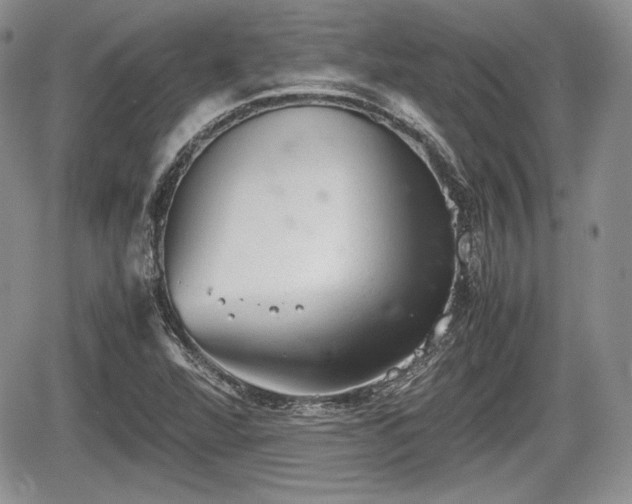 X0000067871360200604171213