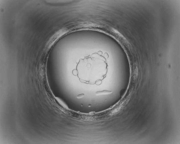 X0000067871361200604171213