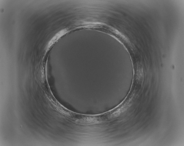 X0000067871362200604171213