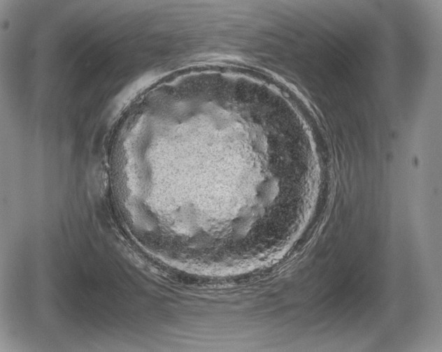 X0000067871363200604171213