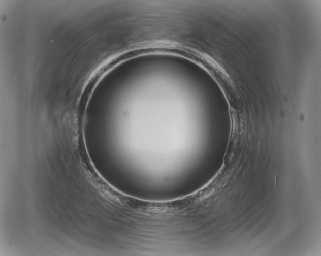 X0000067871364200604171213